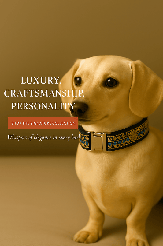 “Finnigan’s Matching Dog Sets: Collars, Leads & Harnesses in Style” - Finnigan's Play Pen