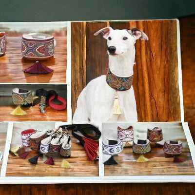 Martingales/Whippets/Greyhounds