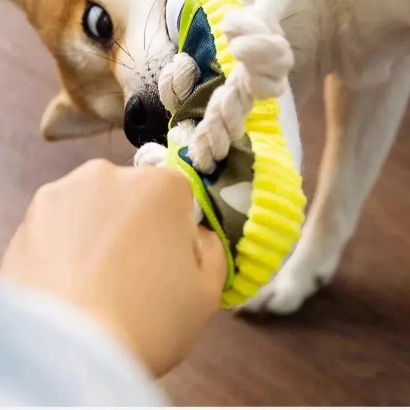 Dog Toys Pet Cotton Rope Slippers Sound Making Toys Dog Teeth Grinding Cleaning Teeth Built - in BB Airbag Round Ball Bell Various - Finnigan's Play Pen
