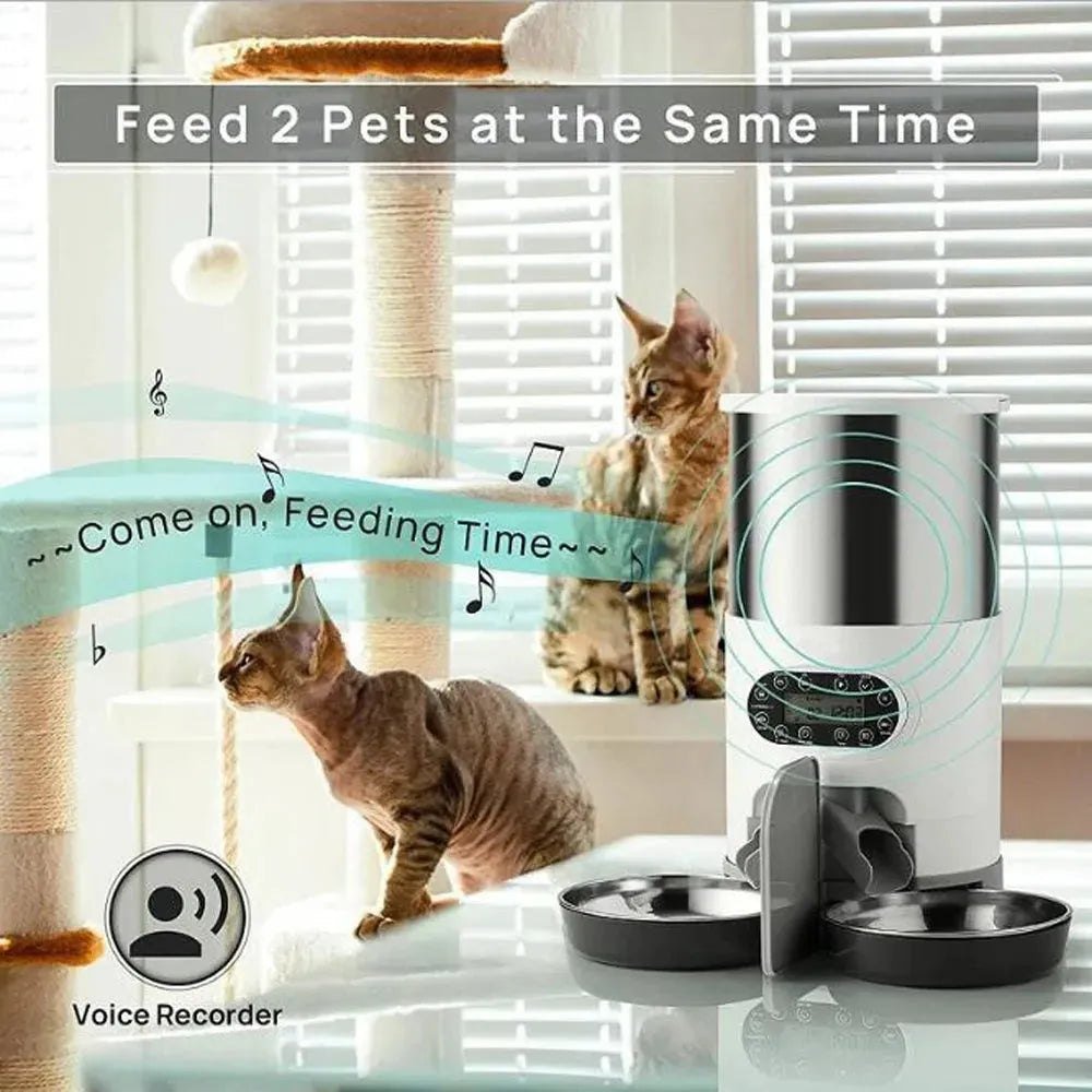 Smart APP Pet Feeder Cat And Dog Food Automatic Dispenser Stainless Steel Bowl Cats And Dogs With Recording Timing Feeding - Finnigan's Play Pen