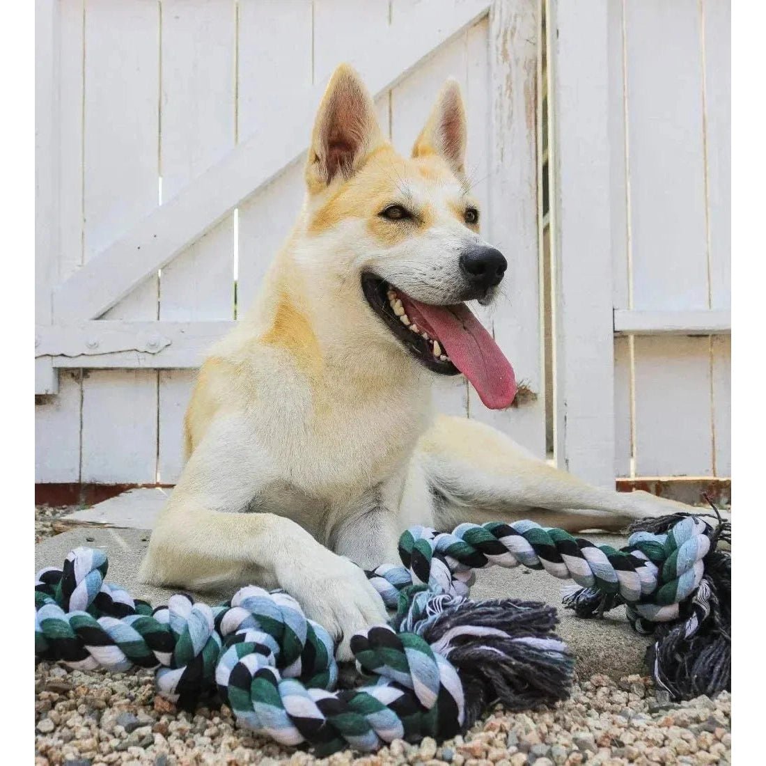 ATUBAN Giant Dog Rope Toy for Extra Large Dogs - Indestructible Dog Toy for Aggressive Chewers and Large Breeds 42IN Long 6 Knot - Finnigan's Play Pen