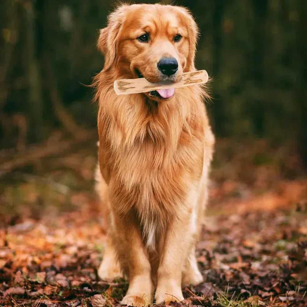 Dog Teeth Grinding Rod Wooden Chewing Toy Natural Coffee Wood Chewable Stick Bite - Resistant Pet Relieve Anxiety Toy Pet Supplies - Finnigan's Play Pen