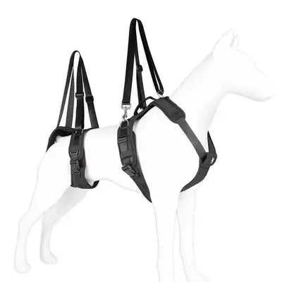 Dog Lift Harness and Leash Durable Dogs Rehabilitation Lift Harness Legs Hip Support for Medium Large Big Dog Training