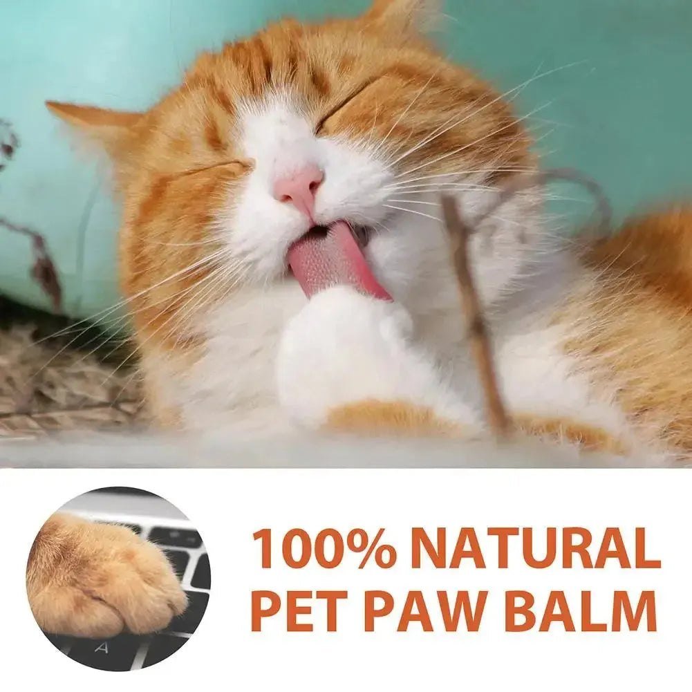 Dog Paw Balm 30g Cat Dog Paw Protective Cream Canine Paw Moisturizer for Dry Cracked Paws Hot Pavement Protection Wax Z1X5 - Finnigan's Play Pen