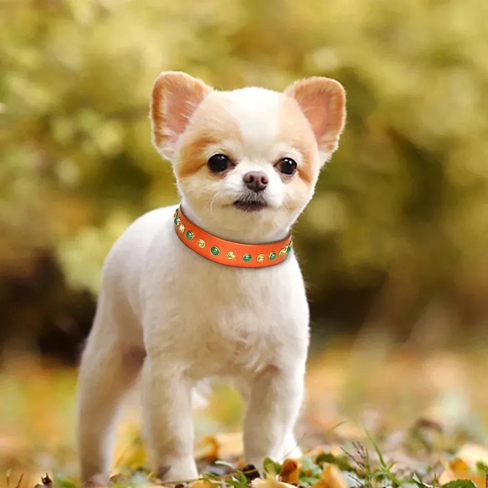 Leather Pet Dog Collar Bling Rhinestone Puppy Cat Collars Cute Diamond Necklace Adjustable for Small Medium Dogs Cats
