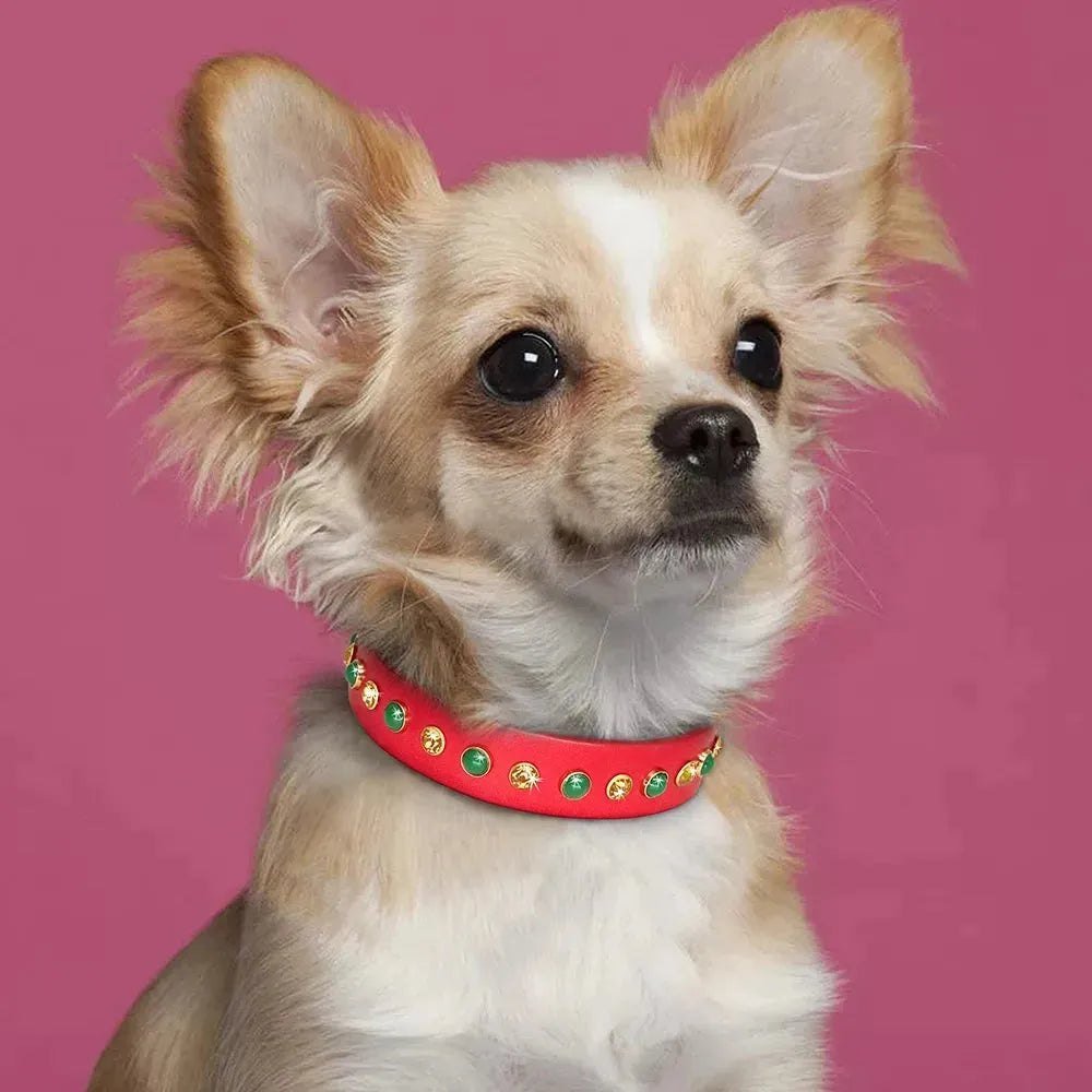 Leather Pet Dog Collar Bling Rhinestone Puppy Cat Collars Cute Diamond Necklace Adjustable for Small Medium Dogs Cats