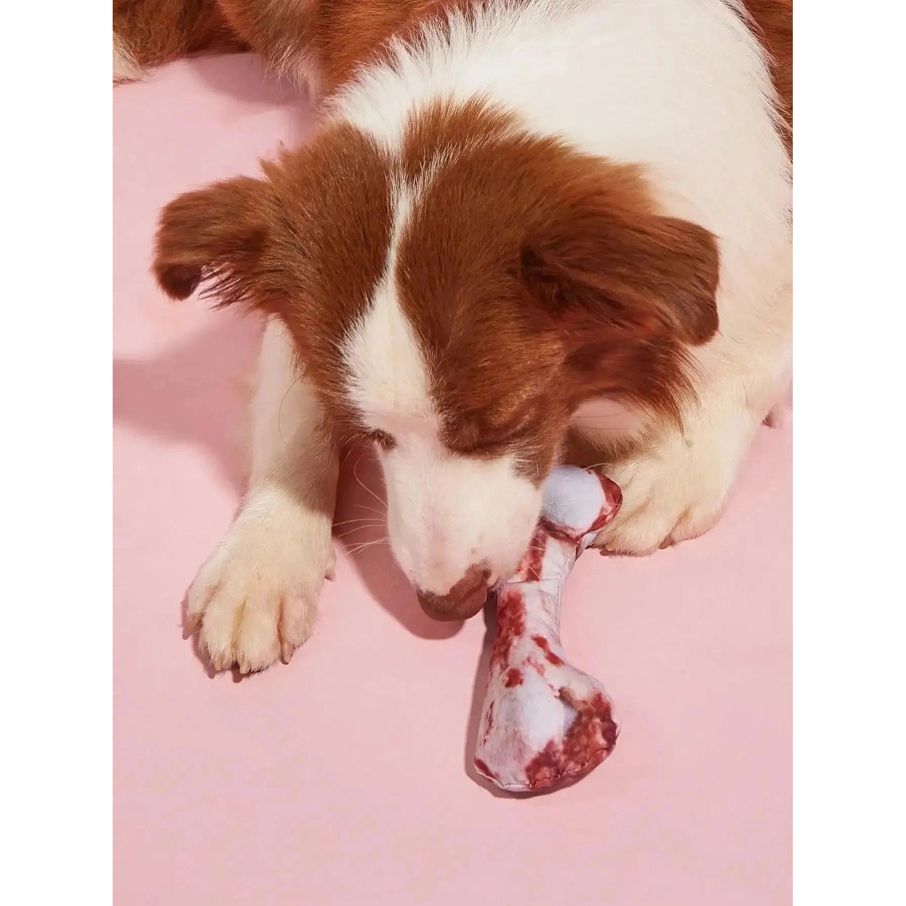 1pc Bone Design Pet Grinding Teeth Squeaky Plush Toy, Chew Toy For Dog Interactive Supply - Finnigan's Play Pen