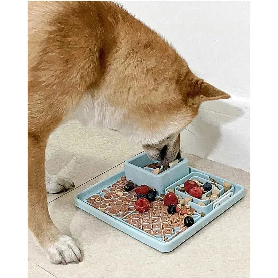 New Pet Dog Cat Tableware Anti - choking Bowl Food Grade Organosilicon Suction Cup Multifunctional Slow Food Mat Dog Licking Mat - Finnigan's Play Pen