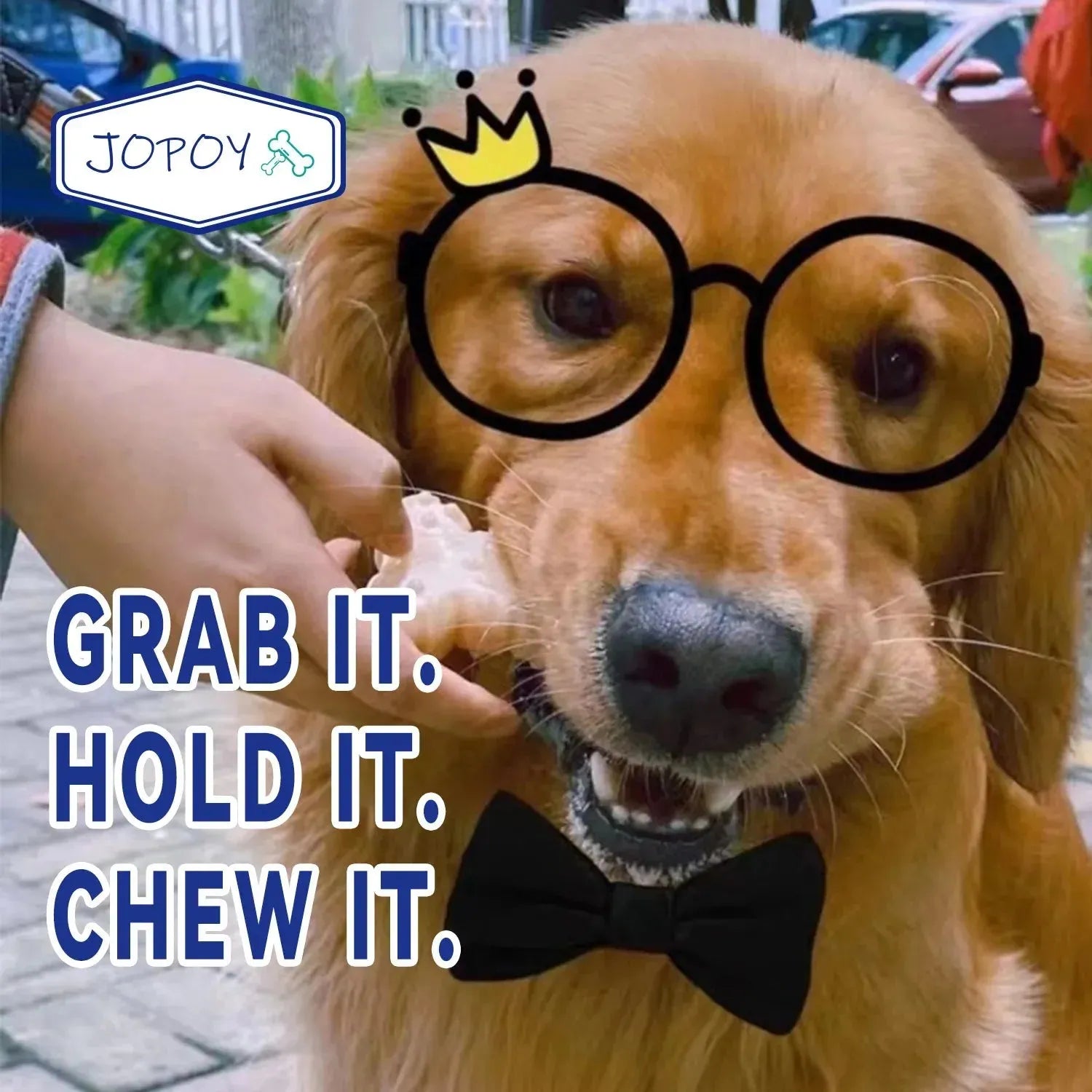 Dog Chew Toys Variety Triple Pack - Dog Toys for Aggressive Chewers - Indestructible Dog Bones for Small Dogs - Peanut Buter - Finnigan's Play Pen