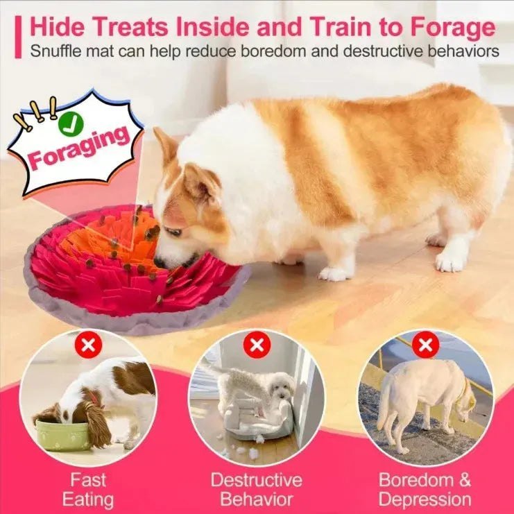 Washable Felt Pet Sniffing Pad Foldable Dog Slow Feeding Mat Toy Dog Training Snuff mat - Finnigan's Play Pen