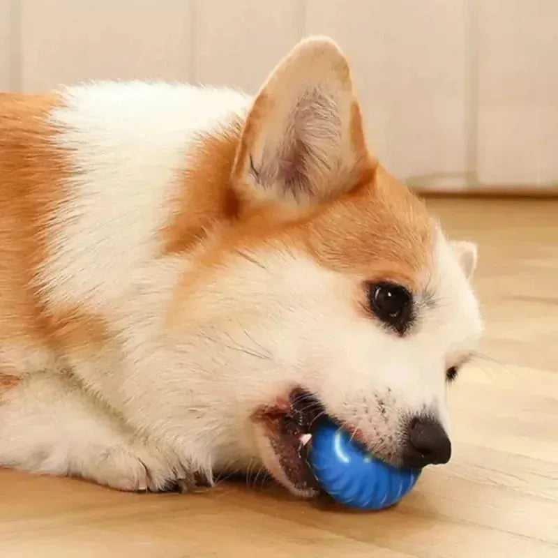 Dog Toy Ball Automatic Moving Bouncing Rolling Ball USB Smart puppy Interactive Dog Chew Toy Ball - Finnigan's Play Pen