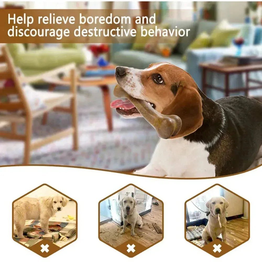 Dog Bone Chews Toys Nearly Indestructible Natural Non - Toxic Anti - bite Puppy Toys For Small Medium Large Dog Pet Chew Game Dental - Finnigan's Play Pen