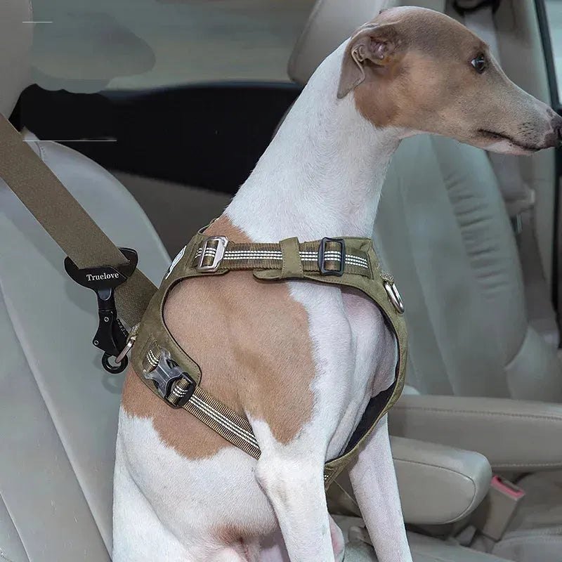 Winhyepet Pet Safety Car Seat Belt Buckle Clip Dog Accessories Items for Collar Harness,Locking Snap Seat Belts