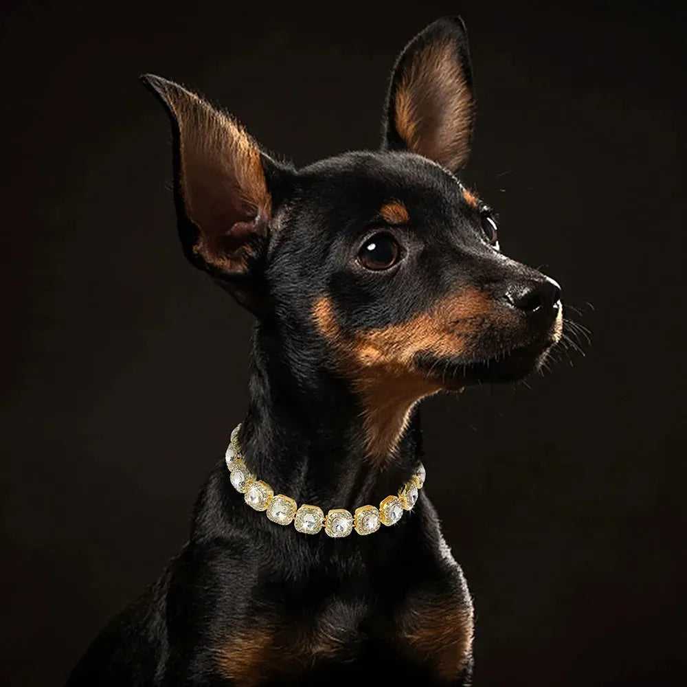 Bling Diamond Dog Chain Collar Crystal Rhinestone Pet Necklace Collar Luxury Shining Collars for Small Medium Dogs Cat