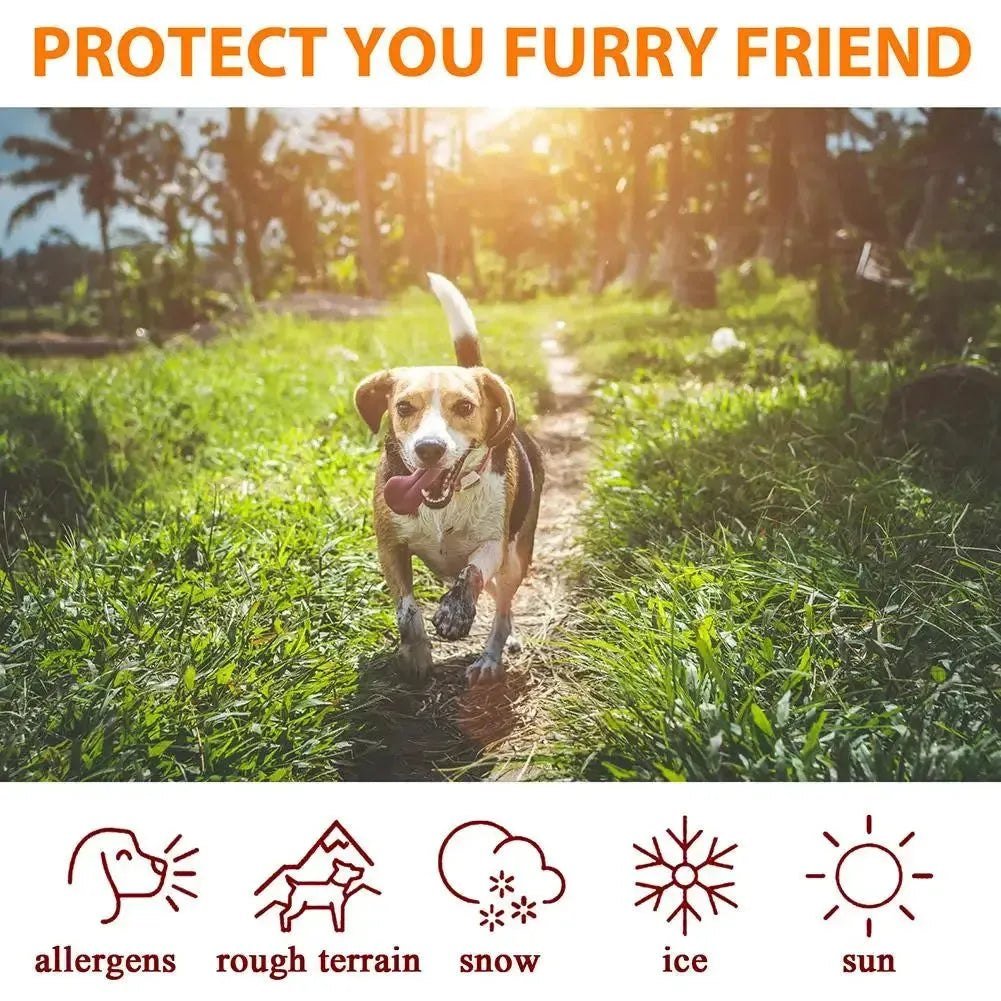 Dog Paw Balm 30g Cat Dog Paw Protective Cream Canine Paw Moisturizer for Dry Cracked Paws Hot Pavement Protection Wax Z1X5 - Finnigan's Play Pen