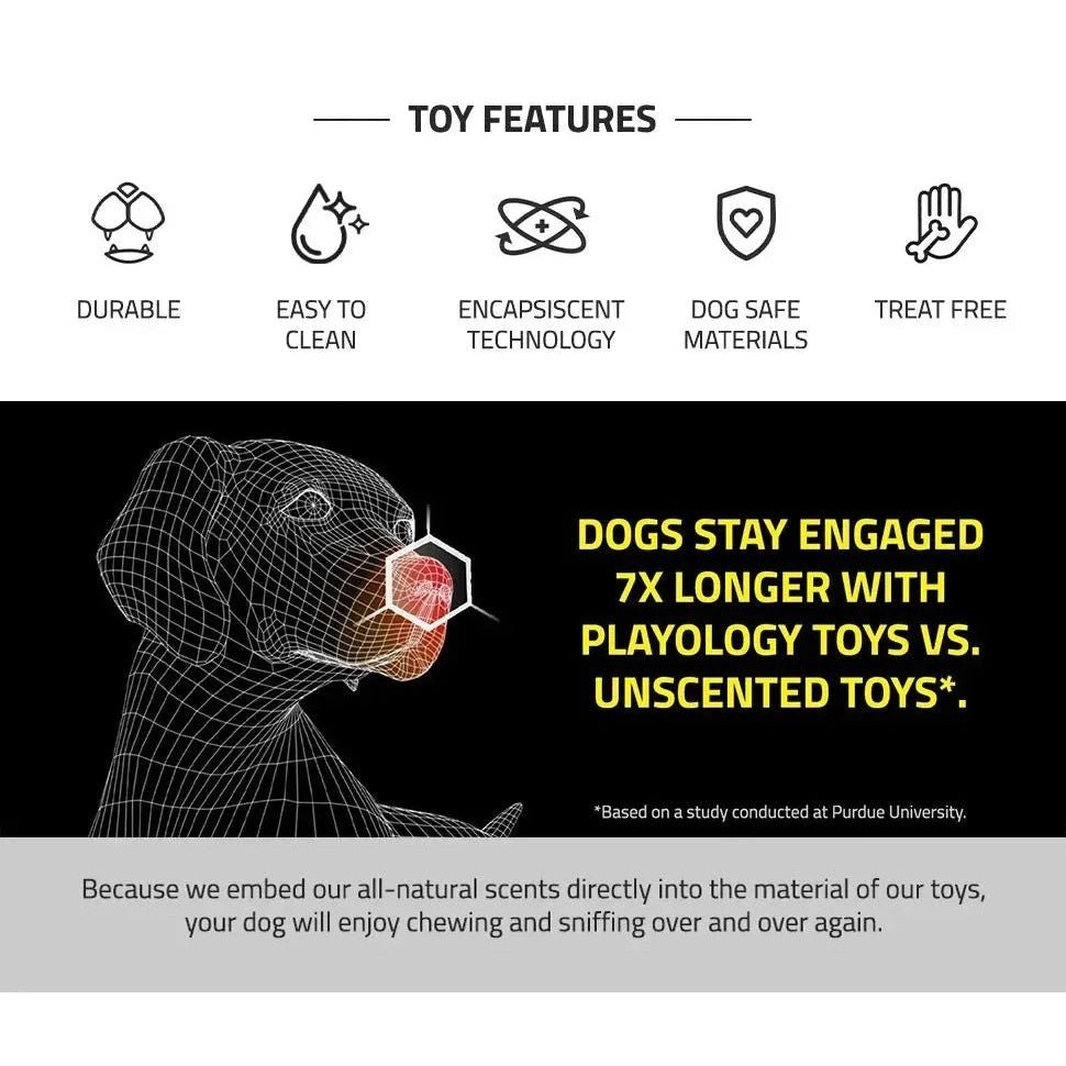 Dog Chew Toys Variety Triple Pack - Dog Toys for Aggressive Chewers - Indestructible Dog Bones for Small Dogs - Peanut Buter - Finnigan's Play Pen