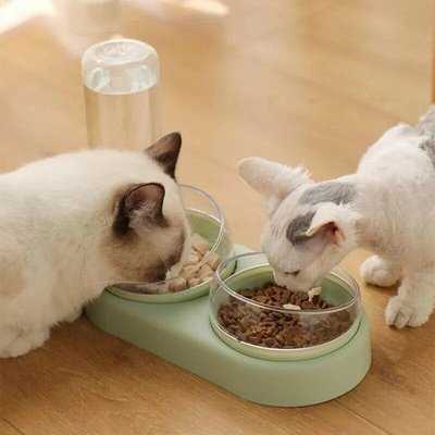 Cat Bowls Food Feed Water Dispenser Pet Bowl With Splash-proof Water 3 In 1 Cats Feeder Feeding Bowl Kitten Supplies