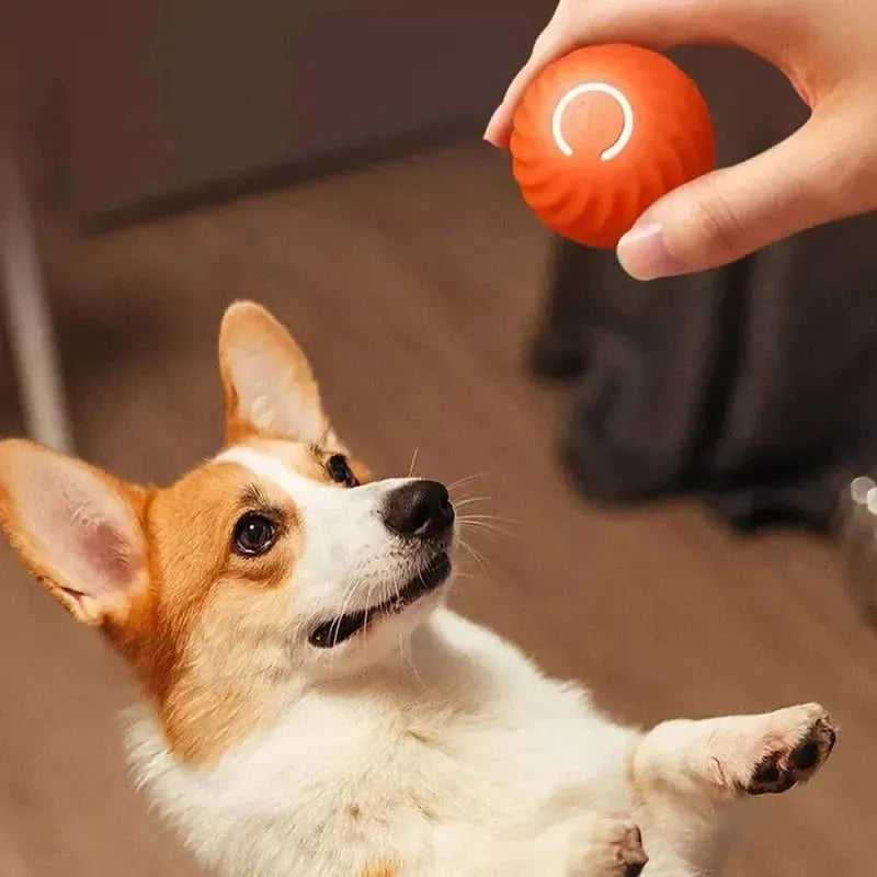 Dog Toy Ball Automatic Moving Bouncing Rolling Ball USB Smart puppy Interactive Dog Chew Toy Ball - Finnigan's Play Pen