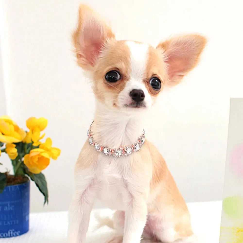 Bling Diamond Dog Chain Collar Crystal Rhinestone Pet Necklace Collar Luxury Shining Collars for Small Medium Dogs Cat