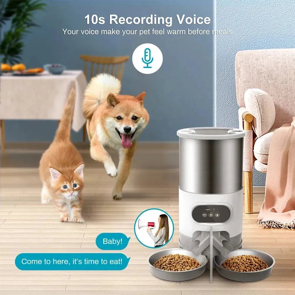 Smart APP Pet Feeder Cat And Dog Food Automatic Dispenser Stainless Steel Bowl Cats And Dogs With Recording Timing Feeding - Finnigan's Play Pen