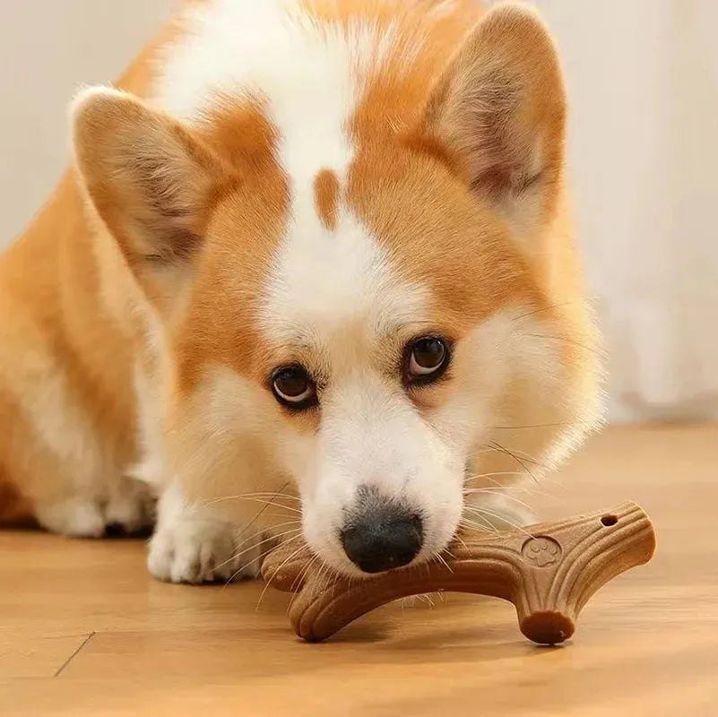 Bite Resistant Pet Dog Chew Toys Molar Teeth Clean Stick Interesting Pine Wood Cute Bone Shape Durable Pet Accessories - Finnigan's Play Pen