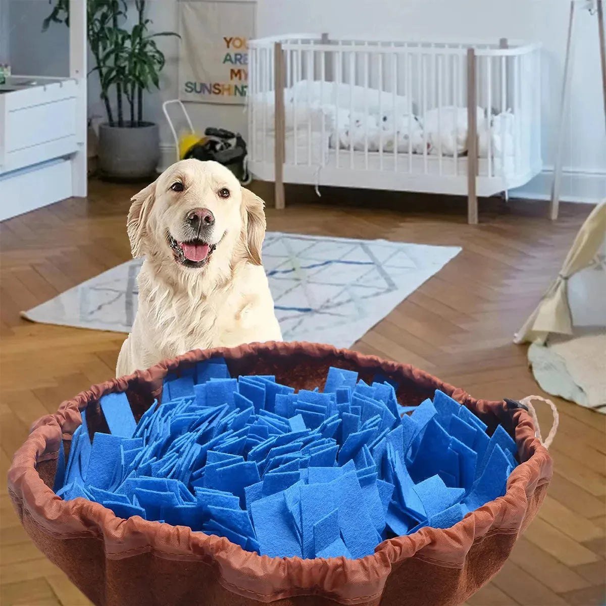 Washable Felt Pet Sniffing Pad Foldable Dog Slow Feeding Mat Toy Dog Training Snuff mat - Finnigan's Play Pen