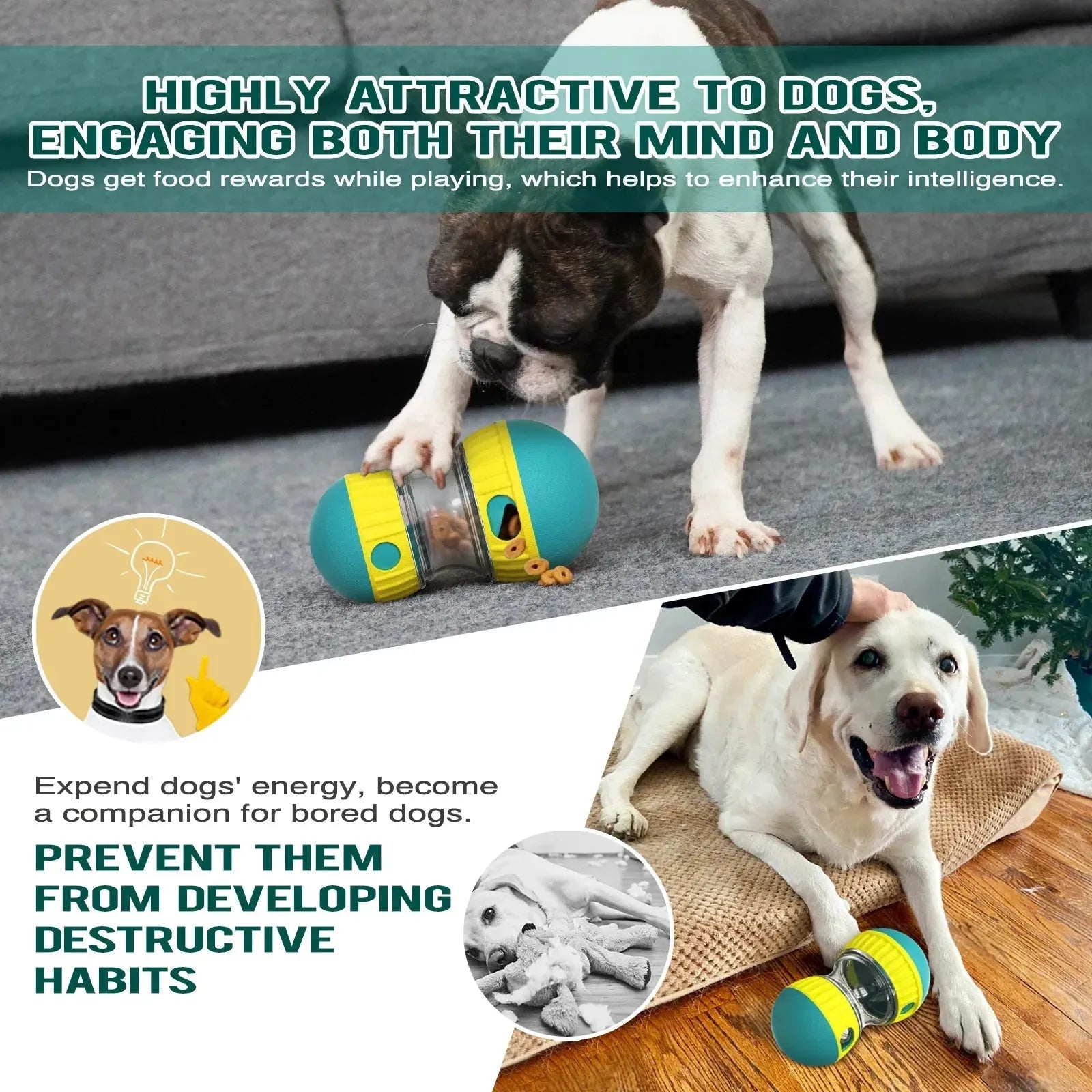 Dog Toy Improve IQ Interactive Puppy Toys For Small Medium Dogs Cat Slow Feeder Ball Labrador Golden Retriever Pet Supplies - Finnigan's Play Pen