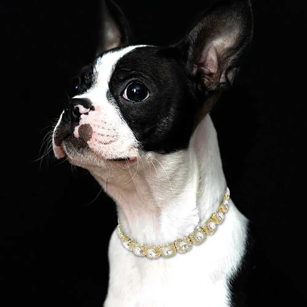 Bling Diamond Dog Chain Collar Crystal Rhinestone Pet Necklace Collar Luxury Shining Collars for Small Medium Dogs Cat