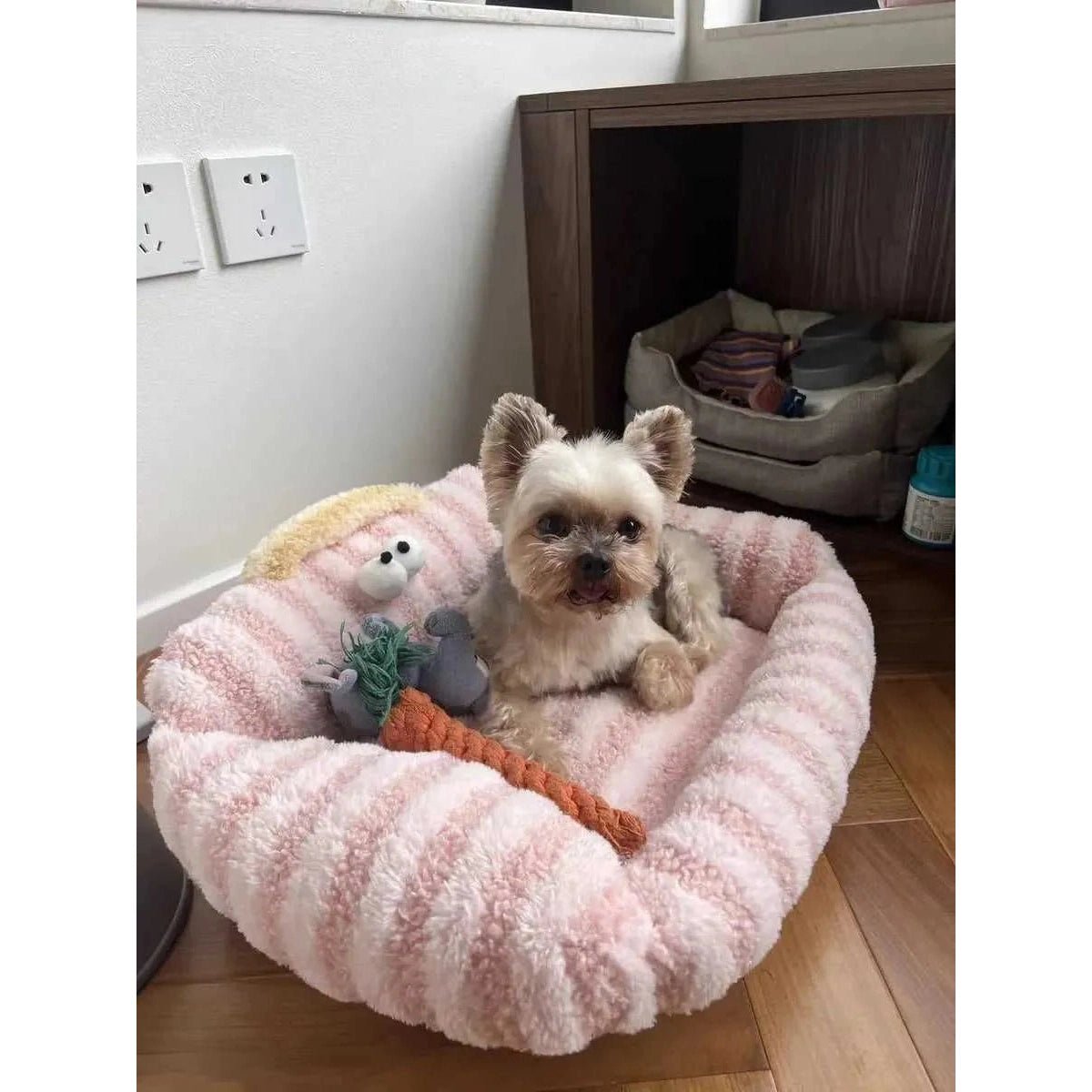 Puppy special sofa kennel winter warm pet Internet celebrity cat nest small dog dog sleeping mat cushion winter bed - Finnigan's Play Pen