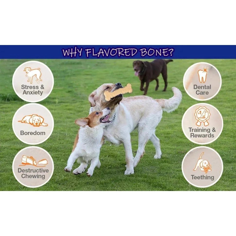 Dog Chew Toys Variety Triple Pack - Dog Toys for Aggressive Chewers - Indestructible Dog Bones for Small Dogs - Peanut Buter - Finnigan's Play Pen