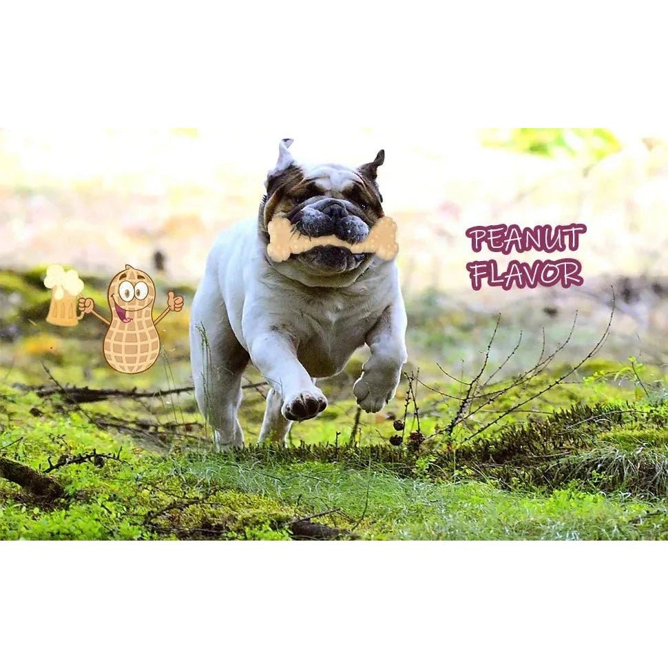 Dog Chew Toys Variety Triple Pack - Dog Toys for Aggressive Chewers - Indestructible Dog Bones for Small Dogs - Peanut Buter - Finnigan's Play Pen