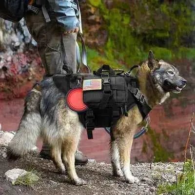 Adventure Paws Tactical Dog Harness with Essentials Bag - Finnigan's Play Pen