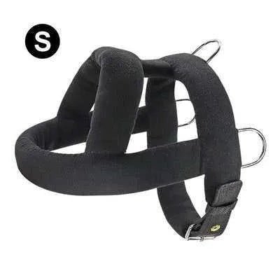 Big & Strong Dog Training Harness & Leash Set - Finnigan's Play Pen
