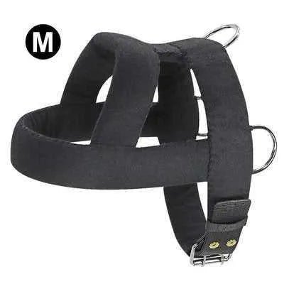 Big & Strong Dog Training Harness & Leash Set - Finnigan's Play Pen