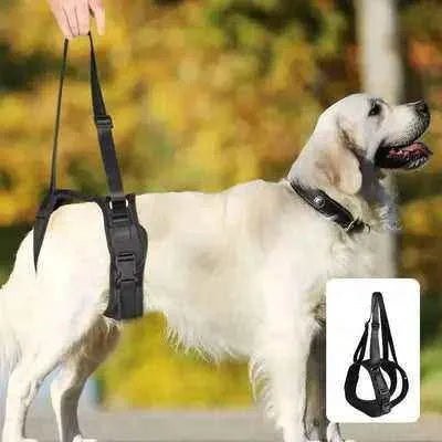 Black Dog Split Lift Harness: Support & Style for Dogs of All Sizes - Finnigan's Play Pen