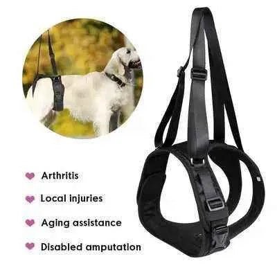 Black Dog Split Lift Harness: Support & Style for Dogs of All Sizes - Finnigan's Play Pen