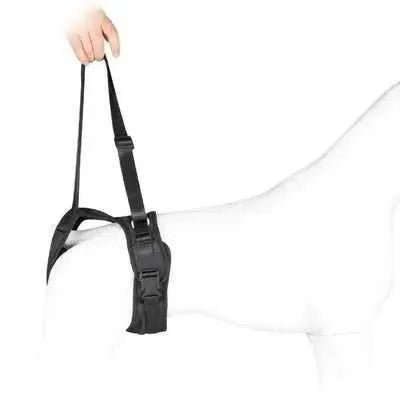 Black Dog Split Lift Harness: Support & Style for Dogs of All Sizes - Finnigan's Play Pen