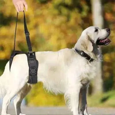 Black Dog Split Lift Harness: Support & Style for Dogs of All Sizes - Finnigan's Play Pen
