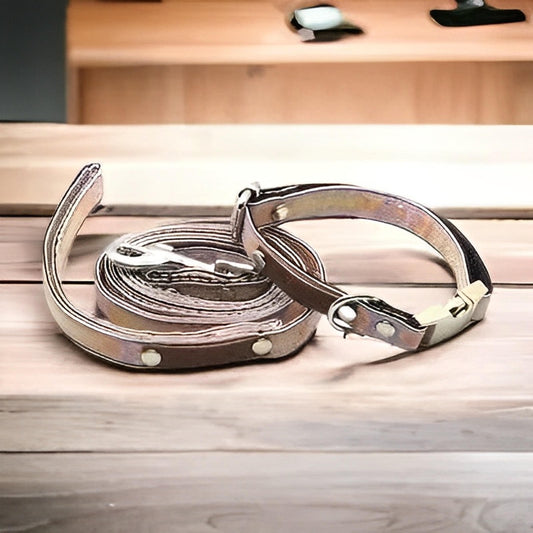 Designer Doggo Delight Set: Engraved Buckle Collar - Finnigan's Play Pen