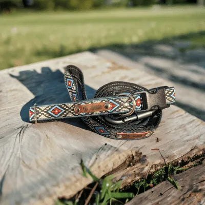 Designer's Whimsical Charm Handmade Dog Collar for Medium Breeds - Finnigan's Play Pen