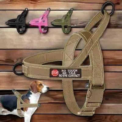 Didog Enchanted Dream Dog Harness - Finnigan's Play Pen