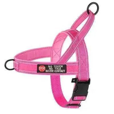 Didog Enchanted Dream Dog Harness - Finnigan's Play Pen