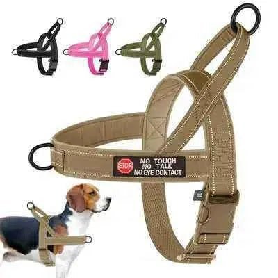 Didog Enchanted Dream Dog Harness - Finnigan's Play Pen