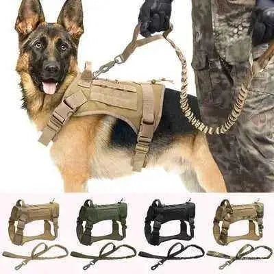 Divine Paws Tactical Dog Harness & Leash Set - Finnigan's Play Pen