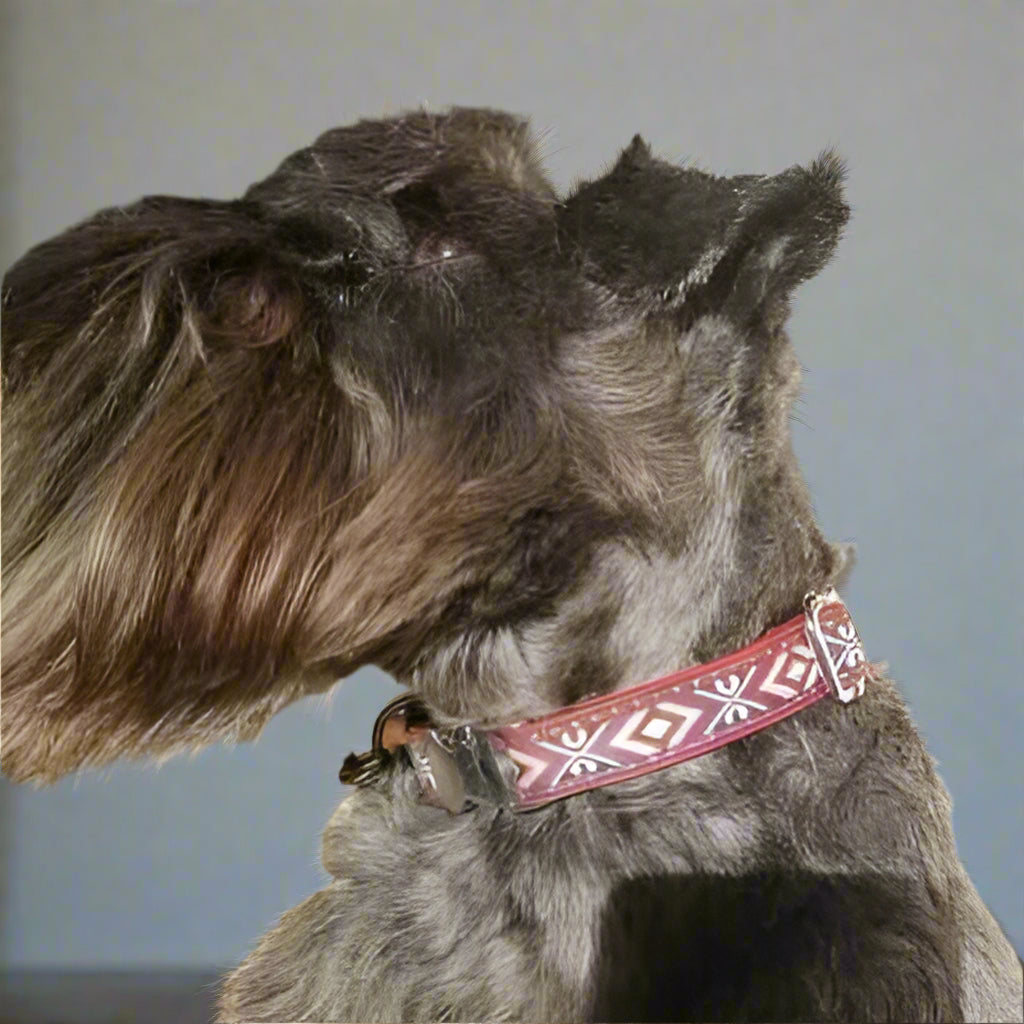 Engraved Charm Cotton Dog Collar by No.29s - Finnigan's Play Pen