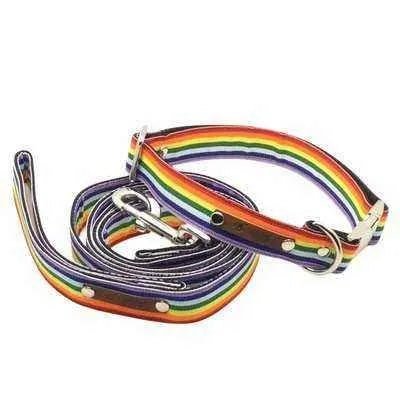 Finnigan Designer Collar and Lead Set - Finnigan's Play Pen