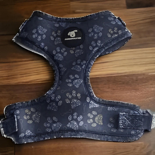 Finnigan Paws Up Designer Dog Harness - Finnigan's Play Pen