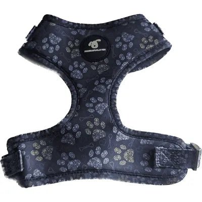 Finnigan Paws Up Designer Dog Harness - Finnigan's Play Pen