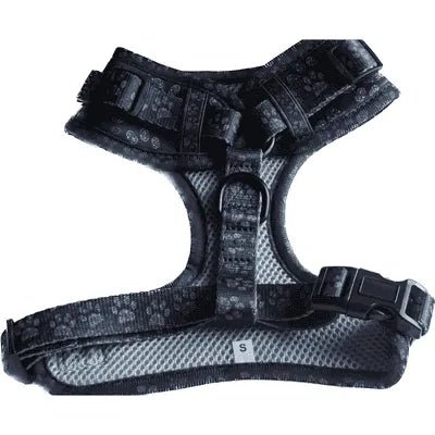 Finnigan Paws Up Designer Dog Harness - Finnigan's Play Pen