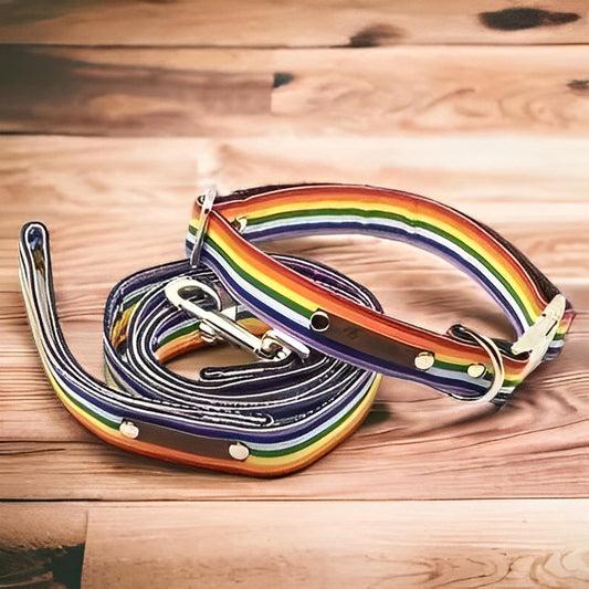 Finnigan's Bespoke Dog Collar & Lead Set - Finnigan's Play Pen
